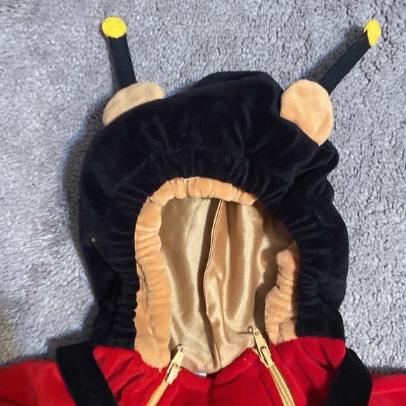 Winnie the Pooh Bumblebee Costume Disney Store Size 18-24 Months Halloween - Picture 12 of 12